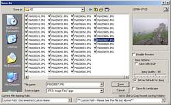 Click 2 Crop - Easy crop tool - Save As Dialogue.