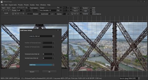 Grid lines over preview panel