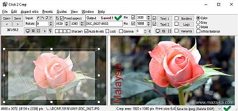 Native Windows Style